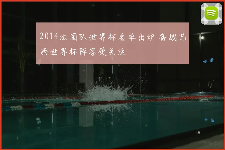 2014法国队世界杯名单出炉 备战巴西世界杯阵容受关注