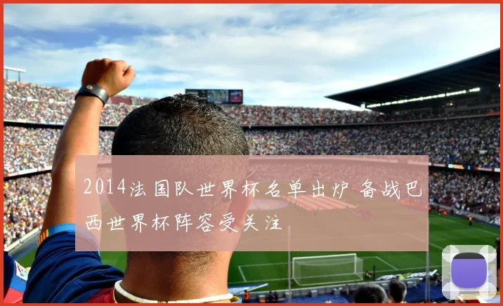 2014法国队世界杯名单出炉 备战巴西世界杯阵容受关注